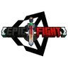 Photon & EpicFight