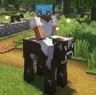 Ride it
