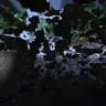 Xray CE