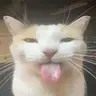 Hex's Default Shaders Rewrite