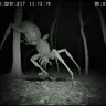 not_alone.jar