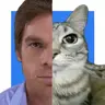 Media Browser