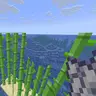 Bonemeal Sugarcane