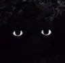 Inside the Darkness - Horror