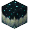 The First City [Modpack]