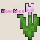 How Nice