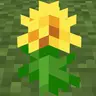 Taraxacum