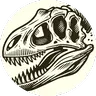Fossils & Archeology Plus