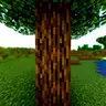 Refractal