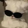 FraggyCarpetAternos