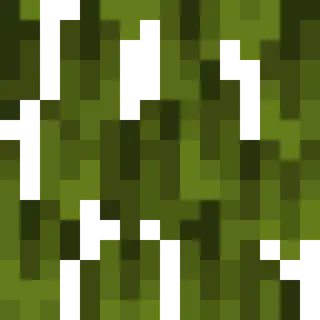Wild Liminal