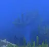 Ocean’s Rise