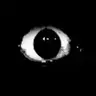 Inside The System: Horror Anomaly
