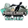 Minecraft Silver