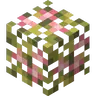 Steeped SMP