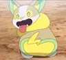 PokéDoge