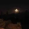 Superior horror
