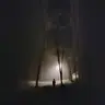 Terrestrial
