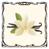 Vainilla de Prisy
