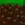 MassiveMC
