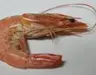 Not So Shrimple