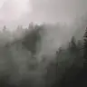 World War Zombies