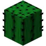 SavannaCraft Modpack