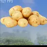 potato-performance-base-pack