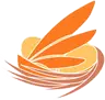 Avali Nest VR Modpack Client