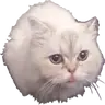 PushkMC