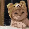 DouglasCraft