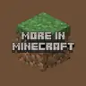 More in Minecraft