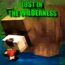 Lost In The Wilderness
