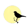 Kanary