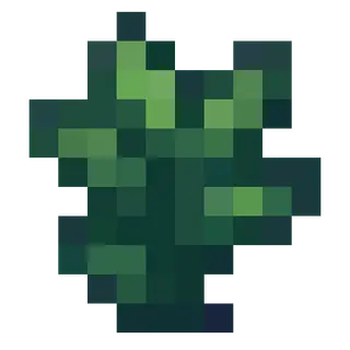 Serenor