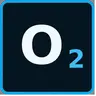 Only Optimizer