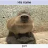 GurtCraft