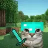 (wither host edition) Vanilla++
