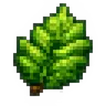 Fancy_Vanilla