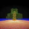 Paranomium
