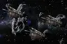 Wombats in space!