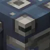 Constructum