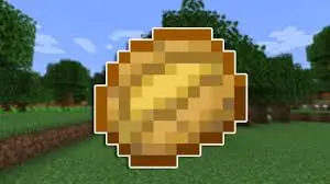 Potato-MC-Optimisation