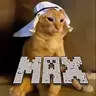 ArabischerKatzenMax