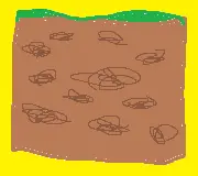 KyoteKy's Really Cool Modpack