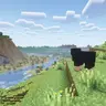 Refined Client