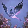 arcanature