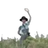 HO/WDY