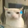 DispMC's Optimization
