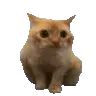 Barebones Enhanced Ultimate